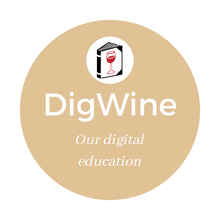 Load image into Gallery viewer, DigWine Intro - English - Scandinavian Wine Academy